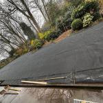 Gartenbau_Düsseldorf_Pflanzenpracht