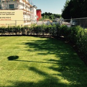 Gartenbaufirma Düsseldorf, Galabaufirma Düsseldorf, Garten Landschaftsbau Firma Düsseldorf, Gartenbau Firma Düsseldorf,  Galabau Firma Düsseldorf, Gartenpflege Düsseldorf, Gartengestaltung Düsseldorf, Gartenbau Unternehmen Düsseldorf, Galabau Unternehmen 