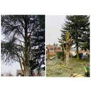 Gartenbaufirma Düsseldorf, Galabaufirma Düsseldorf, Garten Landschaftsbau Firma Düsseldorf, Gartenbau Firma Düsseldorf,  Galabau Firma Düsseldorf, Gartenpflege Düsseldorf, Gartengestaltung Düsseldorf, Gartenbau Unternehmen Düsseldorf, Galabau Unternehmen 