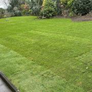 GartenlandschaftsbauDüsseldorf, GartenpflegeDüsseldorf, PflasterarbeitenDüsseldorf, NatursteinpflasterDüsseldorf, GartengestaltungDüsseldorf, LandschaftsarchitekturDüsseldorf, GrüneOaseDüsseldorf, DüsseldorferGärten, StadtgartenDüsseldorf, GartenkunstDüss