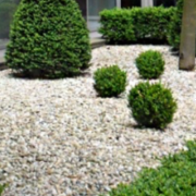 Gartenbaufirma Düsseldorf, Galabaufirma Düsseldorf, Garten Landschaftsbau Firma Düsseldorf, Gartenbau Firma Düsseldorf,  Galabau Firma Düsseldorf, Gartenpflege Düsseldorf, Gartengestaltung Düsseldorf, Gartenbau Unternehmen Düsseldorf, Galabau Unternehmen 