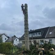 Gartenarbeiten: Bepflanzung in Düsseldorf bei den Bublicas